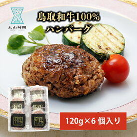 ハンバーグ ギフト 黒毛和牛 鳥取和牛 100% 6個セット お祝い 春 メッセージカード お返し食品 母の日 父の日 和牛 冷凍 おかず 肉 お取り寄せ 内祝い 贈り物 誕生日 プレゼント ご褒美 贅沢 美味しい 送料無料 鳥取 お返し