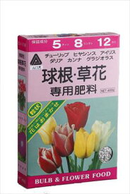 【アミノール化学研究所】球根草花肥料(400g)/1個 【M】