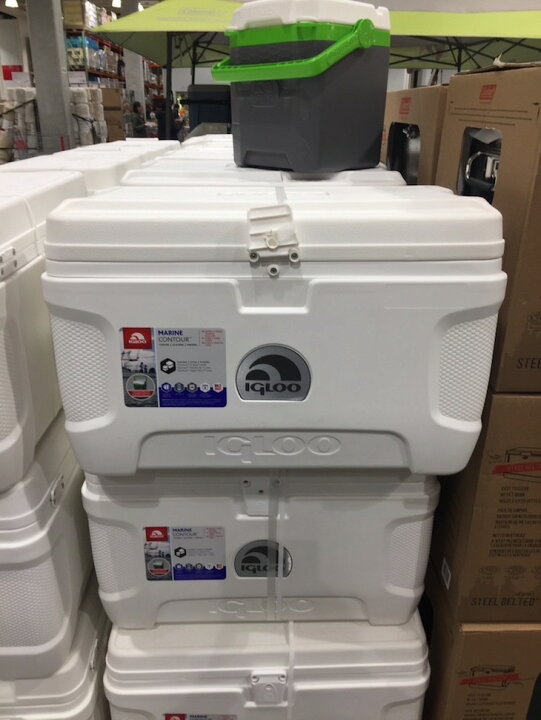 楽天市場】【送料無料】【生活雑貨】【コストコ】イグルー社/IGLOO 
