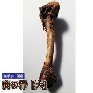【形状おまかせ】国産 無添加 乾燥 鹿の骨【大サイズ/1本】 鹿骨　犬 シカ 骨 しか　骨 小型〜大型犬 お…