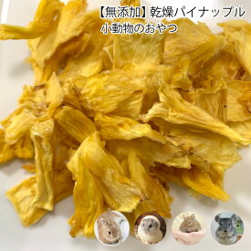 うさぎ 小動物のおやつ　無添加 乾燥パイナップル 30g　国内製造 パイン 砂糖不使用　小動物 無着色　ドライフルーツ うさぎ ハムスター 草食【DBP】