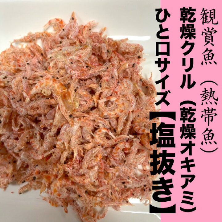 楽天市場 100g 熱帯魚 塩抜き 乾燥クリル 乾燥オキアミ ひと口サイズ 中型魚 大型熱帯魚 海水魚のエサ 干しエビ アロアナ 観賞魚 Dbp 大伸物産 楽天市場ショップ