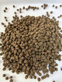 メール便送料無料 おとひめ EP-4 (4.1mm) 100g 沈降性 大粒 乙姫【THB】