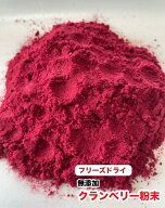 犬 猫 ペット　健康おやつ　フリーズドライ　無添加　クランベリー粉末【30g】　ふりかけ　ビタミン　ア…