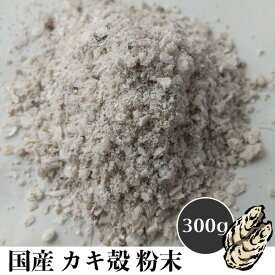 楽天市場 水槽 水質改善の通販