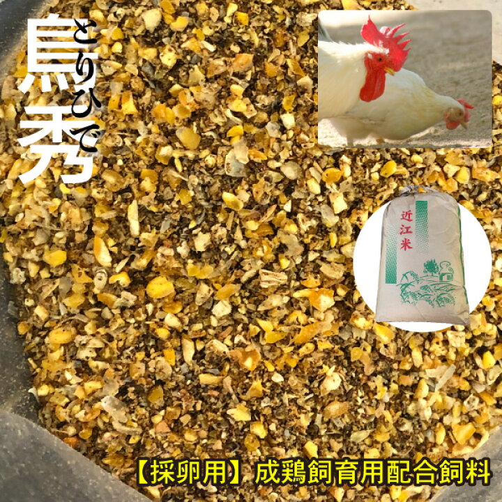 楽天市場 kg 採卵用 鶏 飼料 とりひで 鳥秀 高栄養 高タンパク 再利用米袋使用 成鶏飼育用配合飼料 にわとり えさ 鳥秀 養鶏 Dbp 大伸物産 楽天市場ショップ