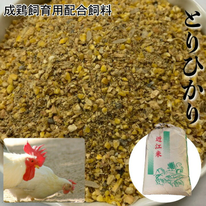 楽天市場 kg にわとり えさ 鶏 飼料 とりひかり 鳥光 再利用米袋使用 成鶏飼育用配合飼料 にわとり えさ 鳥光 鳥の餌 養鶏 鶏 エサ Dbp 大伸物産 楽天市場ショップ
