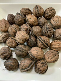 楽天市場 くるみ 殻付きの通販