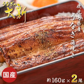 うなぎ 160g×2尾 国産 ギフト プレゼント 鰻 蒲焼き 土用の丑 鹿児島県産 タレ 山椒付き うなぎ蒲焼き 贈物 真空パック お中元 お歳暮 内祝い お祝い 丑の日 指宿 ウナギ 大新