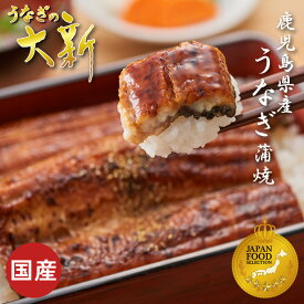 【1000円OFFクーポン配布中】うなぎ 国産 ギフト プレゼント 鰻 蒲焼き 土用の丑 鹿児島県産 タレ 山椒付き うなぎ蒲焼き 贈物 真空パック お中元 お歳暮 内祝い お祝い 丑の日 指宿 ウナギ 大新