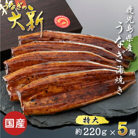 【楽天スーパーセール20％OFF】うなぎ 国産 ギフト プレゼント 鰻 蒲焼き 土用の丑 鹿児島県産 タレ 山椒付き うなぎ蒲焼き 贈物 真空パック お中元 お歳暮 内祝い お祝い 丑の日 指宿 ウナギ 大新