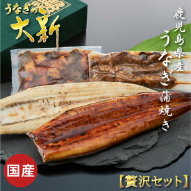 【贅沢セット】 うなぎ 国産 ギフト プレゼント 鰻 蒲焼き 白焼き きざみ 肝串 土用の丑 鹿児島県産 タレ 山椒付き うなぎ蒲焼き 贈物 真空パック お中元 お歳暮 内祝い お祝い 丑の日 指宿 ウナギ 蒲焼 白焼