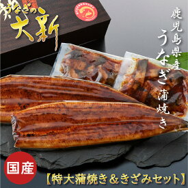 【特大蒲焼＆きざみセット】 うなぎ 国産 ギフト プレゼント 鰻 蒲焼き きざみ 土用の丑 鹿児島県産 タレ 山椒付き うなぎ蒲焼き 贈物 真空パック お中元 お歳暮 内祝い お祝い 丑の日 指宿 ウナギ