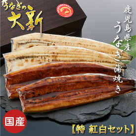 【紅白セット 全4尾】 うなぎ 国産 ギフト プレゼント 鰻 蒲焼き 白焼き 土用の丑 鹿児島県産 タレ 山椒付き うなぎ蒲焼き 贈物 真空パック お中元 お歳暮 内祝い お祝い 丑の日 指宿 ウナギ