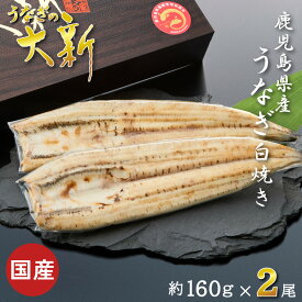 【白焼き 2尾】 うなぎ 国産 ギフト プレゼント 鰻 白焼き 土用の丑 鹿児島県産 贈物 真空パック お中元 お歳暮 内祝い お祝い 丑の日 指宿 ウナギ