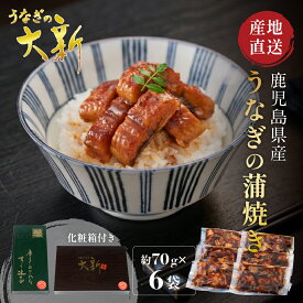 【うなぎ蒲焼 きざみ 6袋】 うなぎ 国産 ギフト プレゼント きざみ 鰻 蒲焼き 土用の丑 鹿児島県産 タレ 山椒付き うなぎ蒲焼き 贈物 真空パック お中元 お歳暮 内祝い お祝い 丑の日 指宿 ウナギ