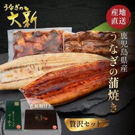 【贅沢セット】 うなぎ 国産 ギフト プレゼント 鰻 蒲焼き 白焼き きざみ 肝串 土用の丑 鹿児島県産 タレ 山椒付き うなぎ蒲焼き 贈物 真空パック お中元 お歳暮 内祝い お祝い 丑の日 指宿 ウナギ 蒲焼 白焼