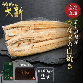 【白焼き 2尾】 うなぎ 国産 ギフト プレゼント 鰻 白焼き 土用の丑 鹿児島県産 贈物 真空パック お中元 お歳暮 内祝い お祝い 丑の日 指宿 ウナギ