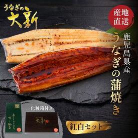 【紅白セット】 うなぎ 国産 ギフト プレゼント 鰻 蒲焼き 白焼き 各1尾 土用の丑 鹿児島県産 タレ 山椒付き うなぎ蒲焼き 贈物 真空パック お中元 お歳暮 内祝い お祝い 丑の日 指宿 ウナギ 蒲焼 白焼
