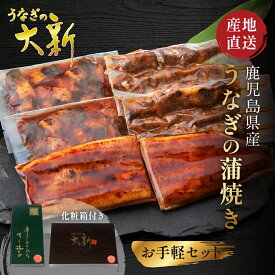 【お手軽セット】 うなぎ 国産 ギフト プレゼント 鰻 ハーフカット きざみ 肝串 土用の丑 鹿児島県産 タレ 山椒付き うなぎ蒲焼き 贈物 真空パック お中元 お歳暮 内祝い お祝い 丑の日 指宿 ウナギ 蒲焼