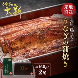 うなぎ 160g×2尾 国産 ギフト プレゼント 鰻 蒲焼き 土用の丑 鹿児島県産 タレ 山椒付き うなぎ蒲焼き 贈物 真空パック お中元 お歳暮 内祝い お祝い 丑の日 指宿 ウナギ 大新