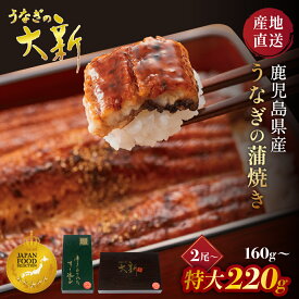 うなぎ 国産 ギフト プレゼント 鰻 蒲焼き 土用の丑 鹿児島県産 タレ 山椒付き うなぎ蒲焼き 贈物 真空パック お中元 お歳暮 内祝い お祝い 丑の日 指宿 ウナギ 大新