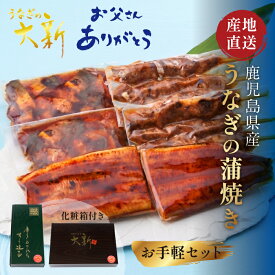 【お手軽セット】 うなぎ 国産 ギフト プレゼント 鰻 ハーフカット きざみ 肝串 土用の丑 鹿児島県産 タレ 山椒付き うなぎ蒲焼き 贈物 真空パック お中元 お歳暮 内祝い お祝い 丑の日 指宿 ウナギ 蒲焼
