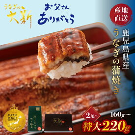 うなぎ 国産 ギフト プレゼント 鰻 蒲焼き 土用の丑 鹿児島県産 タレ 山椒付き うなぎ蒲焼き 贈物 真空パック お中元 お歳暮 内祝い お祝い 丑の日 指宿 ウナギ 大新