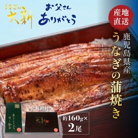 うなぎ 160g×2尾 国産 ギフト プレゼント 鰻 蒲焼き 土用の丑 鹿児島県産 タレ 山椒付き うなぎ蒲焼き 贈物 真空パック お中元 お歳暮 内祝い お祝い 丑の日 指宿 ウナギ 大新