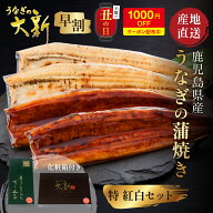 【P2倍】丑の日 早割20時～1,000円OFFクーポン【紅白セット 全4尾】 うなぎ 国産 ギフト プレゼント 鰻 …