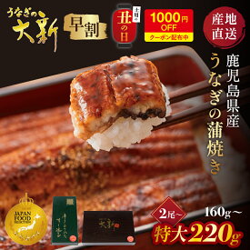 【P2倍】丑の日 早割1,000円OFFクーポン うなぎ 国産 ギフト プレゼント 鰻 蒲焼き 土用の丑 鹿児島県産 タレ 山椒付き うなぎ蒲焼き 贈物 真空パック お中元 お歳暮 内祝い お祝い 丑の日 指宿 ウナギ 大新
