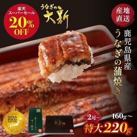 【楽天スーパーセール20％OFF】うなぎ 国産 ギフト プレゼント 鰻 蒲焼き 土用の丑 鹿児島県産 タレ 山椒付き うなぎ蒲焼き 贈物 真空パック お中元 お歳暮 内祝い お祝い 丑の日 指宿 ウナギ 大新