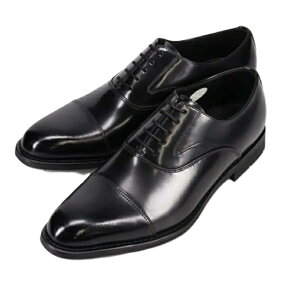 }hXА qRRVm I HXg[g`bv hXV[Y rWlXV[Y amC vC HR8001 ubN C