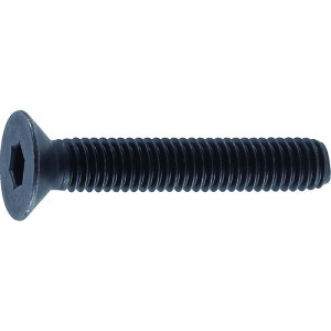 gXRR TRUSCO ZptM{g  SlW M3×5 60{ B73-0305 [1-163-7941]