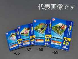 エスコ ESCO 【個人宅不可】 303x426mm/A3 ラミネートフィルム（50枚） EA761HE-69 [2-0189829]