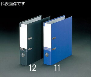 GXR ESCO ylszA4/S^ o[A[`t@Cij EA762CP-12 [2-0209688]