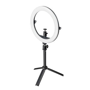 GXR ESCO ylsz LEDƖ iX^ht/WEBJpj EA761XL-17 [2-1852088]