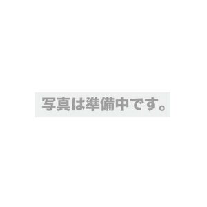 �G�X�R ESCO �y�l��s�z A4/S�^ �p�[���t�@�C���i�j EA762CF-36B [2-1919095]