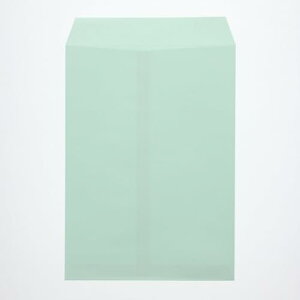 GXR ESCO ylsz 240x332mm/p2 J[iX֘gȂ/100j EA762GE-67 [2-1920619]