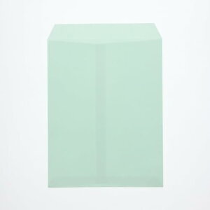 GXR ESCO ylsz 216x277mm/p3 J[iX֘gȂ/100j EA762GE-66 [2-1920626]