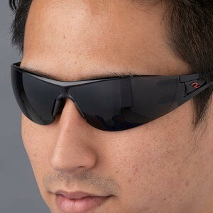 GXR ESCO ylsz ی߂ˁiX[N/̓A`tHOj EA800AR-105 [2-1538968]