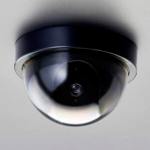 GXR ESCO ylsz mP3x2{n hƗp_~[Jip/h[^j EA864CD-122 [2-1784648]