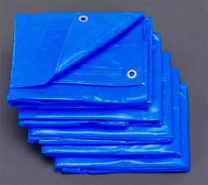 GXR ESCO ylsz 4.5x5.4m/0.25mm u[V[gi#3000/3j EA911AB-25 [2-0687073]