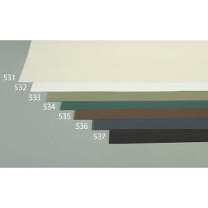 GXR ESCO ylsz 1.1x10m/0.55mm Ȕzi11/Lij EA911AK-531 [2-1151013]