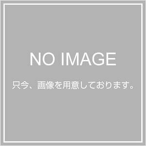 GXR ESCO ylsz 210x225mm nh^Ii200j EA929AX-2 [2-5574005]