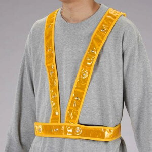 GXR ESCO ylsz LEDSxXgiS[h/LEDj EA983R-163 [2-1511985]