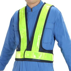 GXR ESCO ylsz LEDSxXgiE/Ԕ_Łj EA983R-533 [2-1627976]