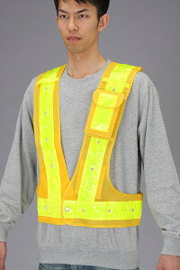 GXR ESCO ylsz SxXgELEDi/j EA983R-71 [2-5899344]