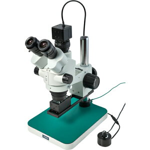 z[U HOZAN ylsz ǑiPCpj L-KIT1229 [42-812297]