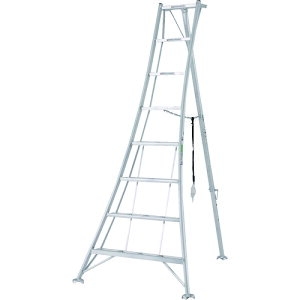 �A���C���R �y�l��s�z �A���C���R �A���~�����|�p�O�rKWX �V����0.85 KWX90 [79-235975]